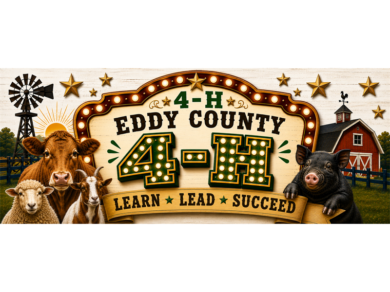 Fair Logo