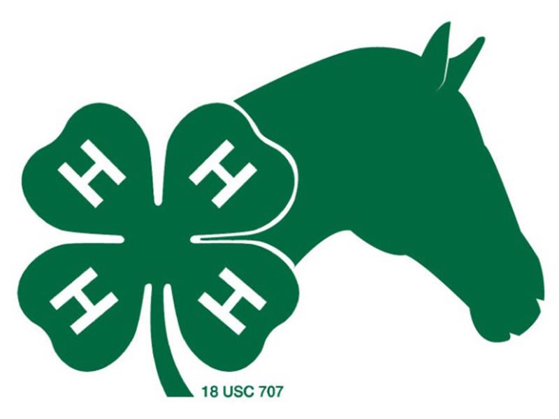 Logo for 2026 Lake County Horse Show