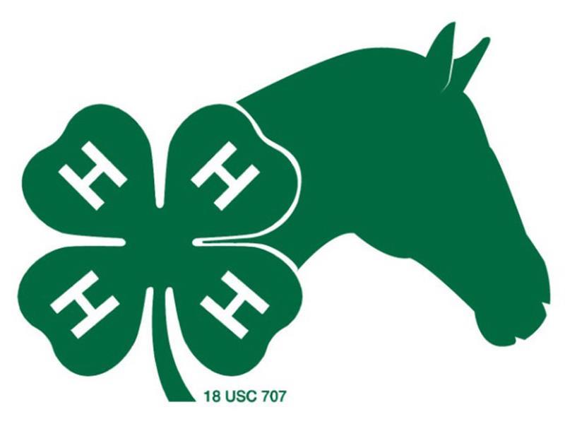 Logo for 2026 Spink County 4-H Horse Show