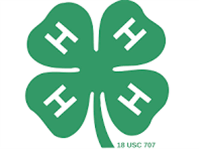Fair Logo
