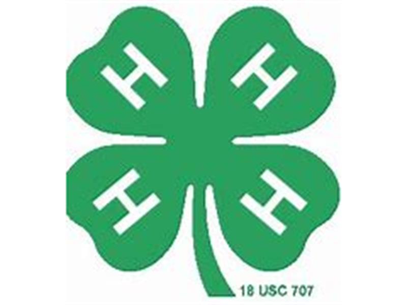 Logo for 2026 Mercer County 4-H Roundup