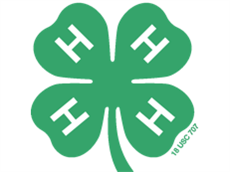 Logo for 2026 Valley County Fair
