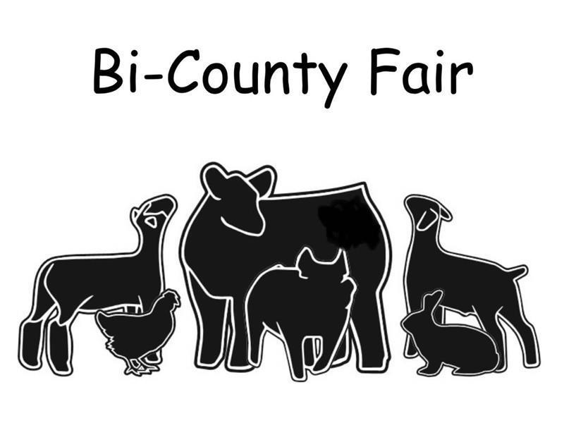 Logo for 2026 Bi-County Fair - Open and Vendors